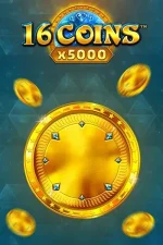 16 coins